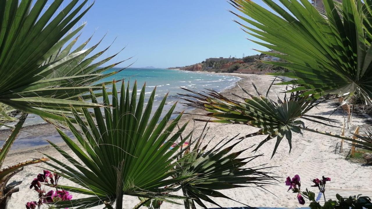 Mirador De Aguamarina Appartement Dehesa De Dehesa De Campoamor Buitenkant foto